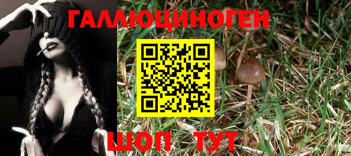 Галлюциногенные грибы ЛСД  Галлюциногенные грибы GOLDEN TEACHER  Вход с VPN  Лыткарино 